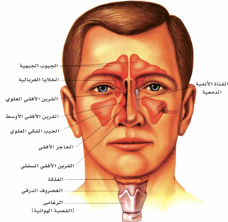 التهاب الجيوب الأنفية